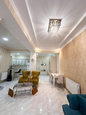 Luxury apartment in Kutaisi